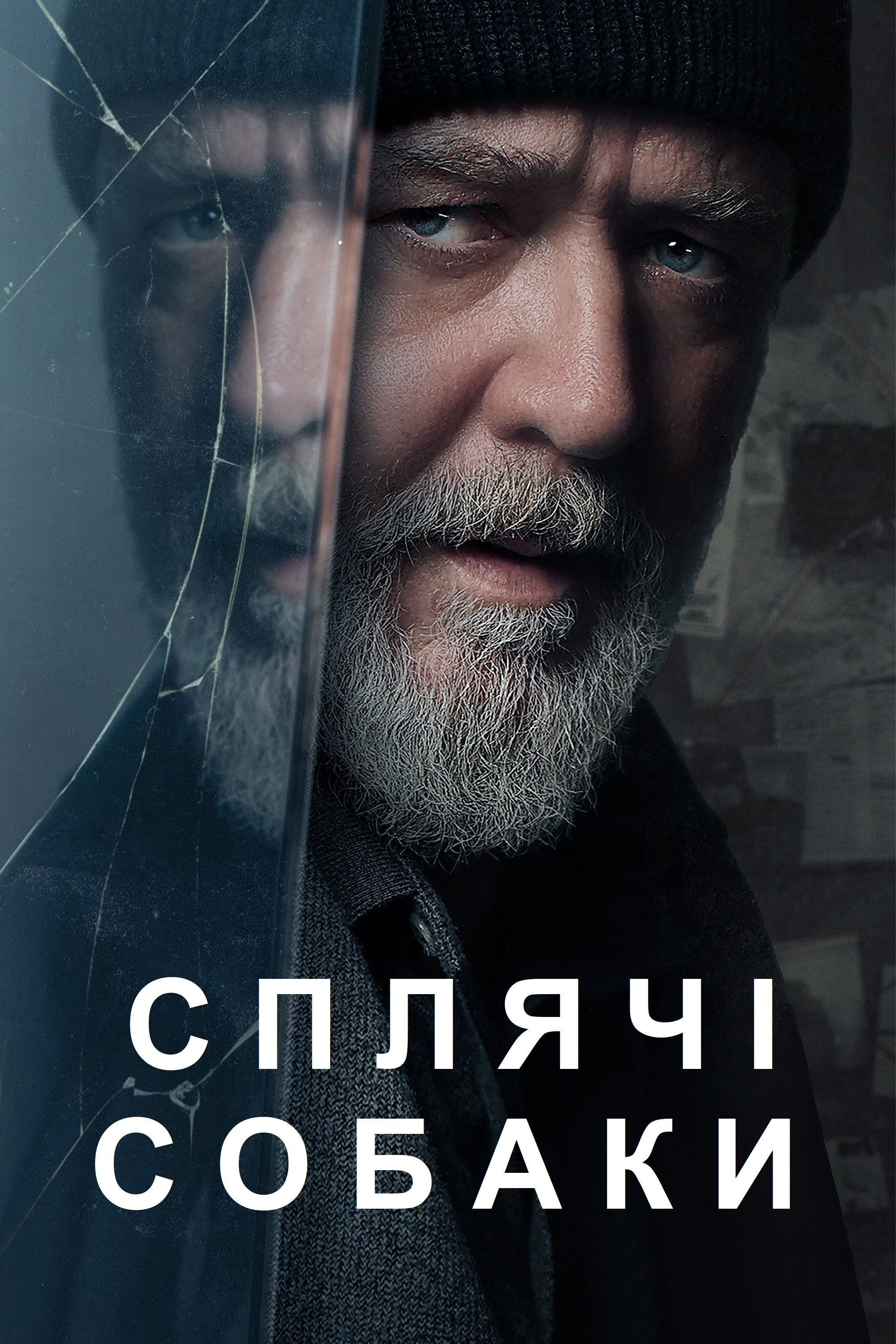 Сплячі собаки Сплячі собаки